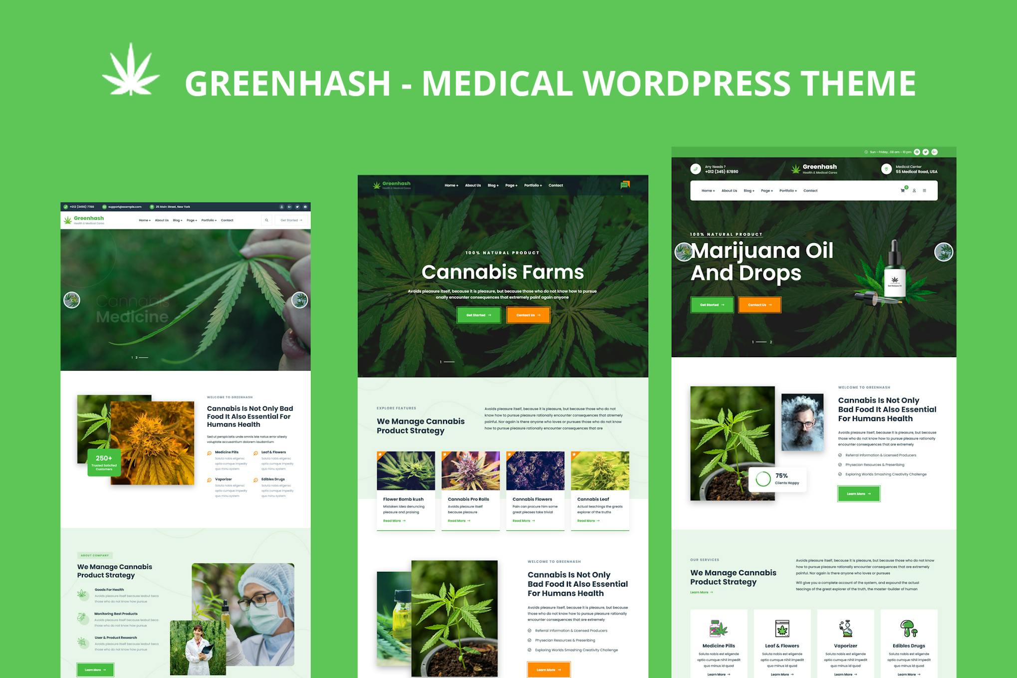 Greenhash — медицинская тема WordPress