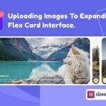 Wiloke Expanding Flex Cards — для отображения записей