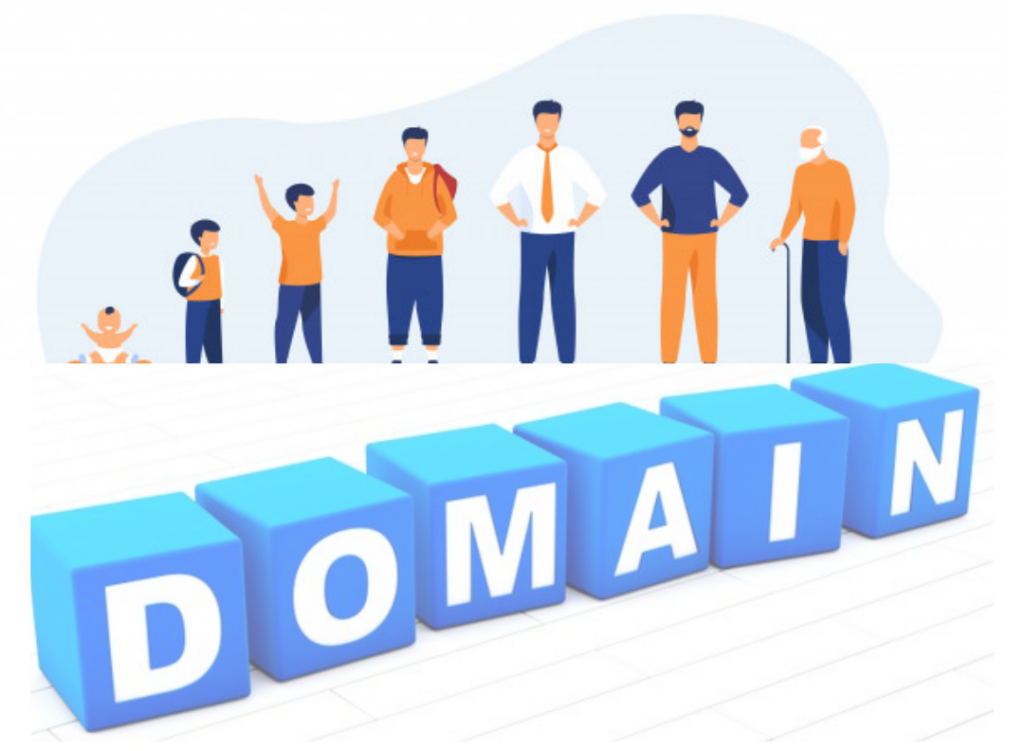 Подробнее о статье Как проверить историю домена и когда это нужно делать?