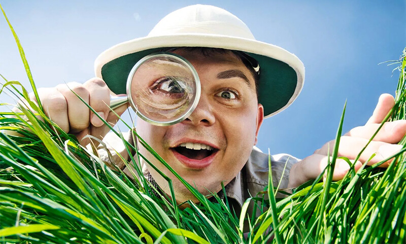 Подробнее о статье Создаем описания похожих товаров правильно!